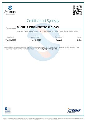 Dibenedetto - Certificato di Synesgy