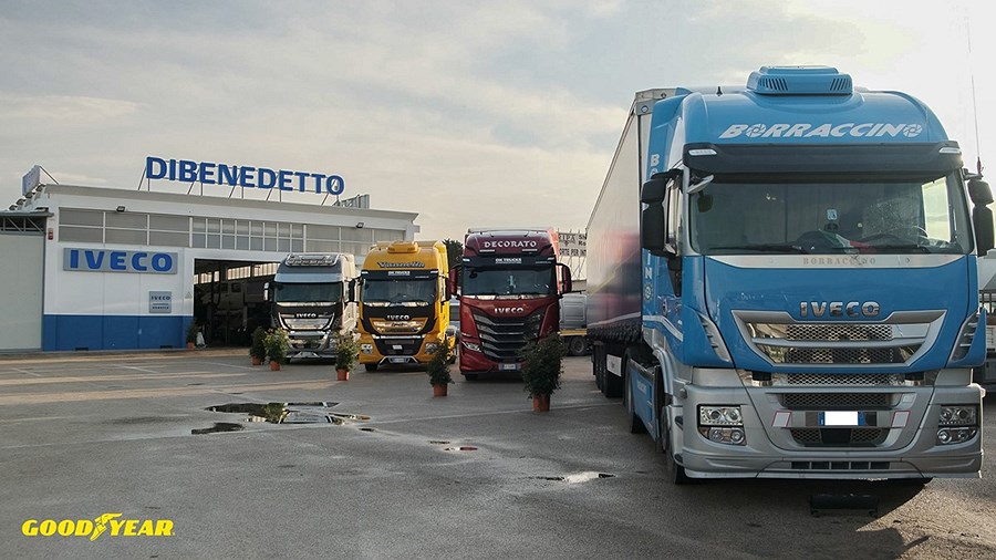 DIBENEDETTO - *Check Point Goodyear*